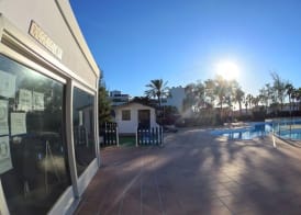 Palmeras Garden 2