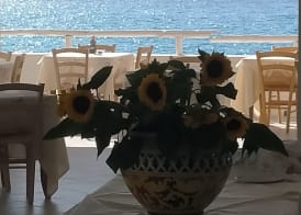 Villaggio Hotel Agrumeto 4