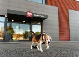Ibis Ripollet 5