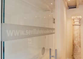 Hotel Boutique Elvira Plaza 3