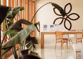 Sentido Fido Tucan - Adults Only 3