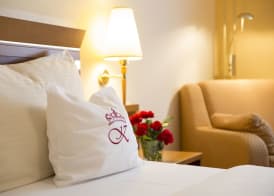 Hotel am Schlosspark Zum Kurfürst 4