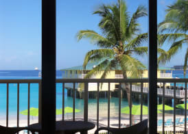 Radisson Aquatica Resort Barbados 5