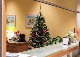 Hotel Grindelwalderhof 5