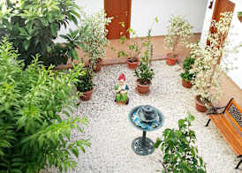 Hotel Oasis Atalaya 5