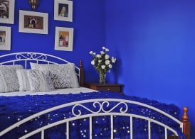 Riad 58 Blu 5