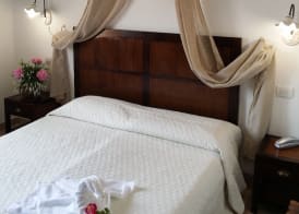 Hotel Tabby 5