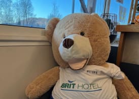 Brit Hotel Confort Foix 3