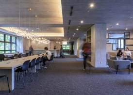 Mercure Niseko Resort 5