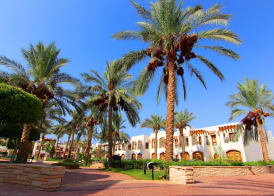 Coral Hills Resort Sharm El-Sheikh 4