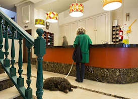 Hotel San Miguel 4