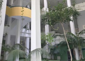 Apartamentos Bahia Playa 3