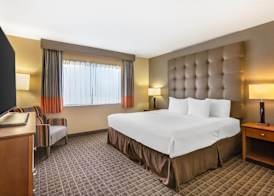 Best Western Plus Scottsdale Thunderbird Suites 5