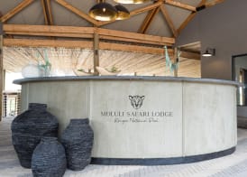 Mdluli Safari Lodge 2