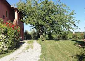 Fattoria Santa Lucia Borgo alla Cantina 5