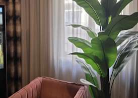 Hotel Daytona Palace 2