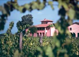 Fattoria Santa Lucia Borgo alla Cantina 3