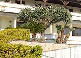 Perla Hotel e Garden - Free Parking and Pool - Open area with Beautiful view of the Landscape 3