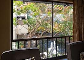 Sheraton Palo Alto Hotel 4