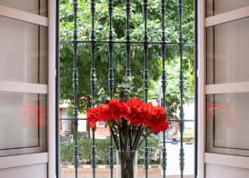 Hotel Boutique Elvira Plaza 5