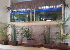Treasure Island Resort 2