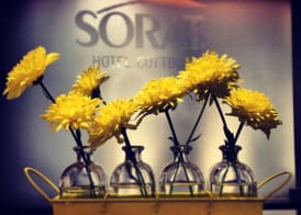 SORAT Hotel Cottbus 2