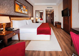 Wellborn Luxury Hotel 4
