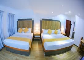 Hotel Vicentina 4