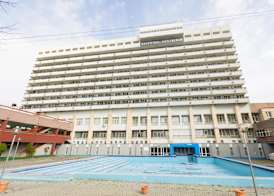 Hotel Mures 5