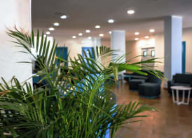 Hotel Baia Turchese 2