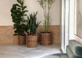 Hotel Tayko Sevilla 3
