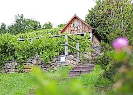 Hotel Restaurant Lamm Hebsack 5