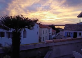 Hotel Les Palmiers En Camargue 4