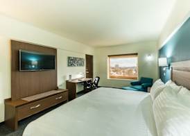 Holiday Inn GUADALAJARA EXPO by IHG 5