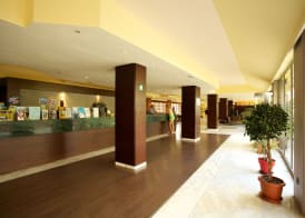Ona Luna Park - Adults Friendly 16 Years Plus 3