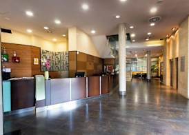 Sercotel Las Artes Pinto 2