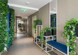 Riva Mamaia Beach Apart Hotel 3