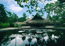 Marari Beach Resort Alleppey - A CGH Earth Experience 2