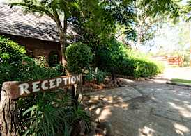 Mohlabetsi Safari Lodge 3