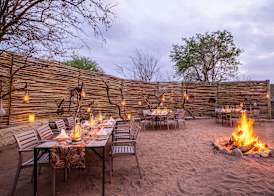 Thornybush Simbambili Lodge 3