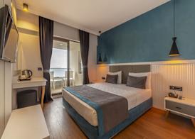 Tema 242 Hotel 4