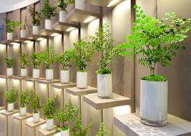 Hotel Condes de Barcelona 2
