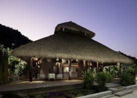 Phi Phi CoCo Beach Resort 3
