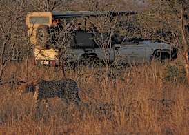 Hamiltons Tented Camp 4
