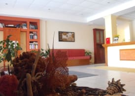 Perros Hotel 5