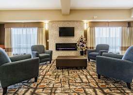 Comfort Inn & Suites Edmonton International Airport 5