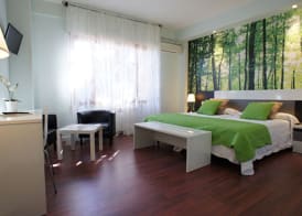 Hotel Montermoso 4