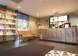 Best Western Zaan Inn, Amsterdam - Zaandam 3