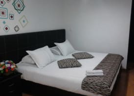 Hotel Santiago Plaza 5