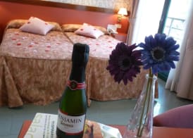 Hotel Jardín de Aranjuez 4